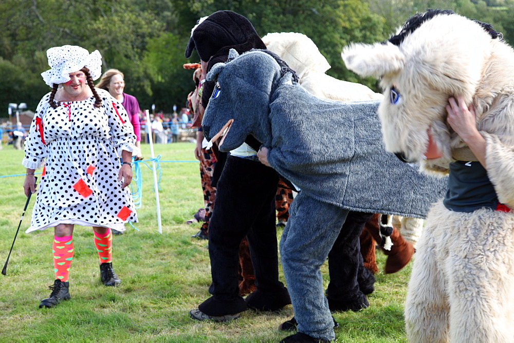 Pantomime horse race with Dame as starter, Widecombe Fair, Dartmoor, Devon, England, United Kingdom, Europe