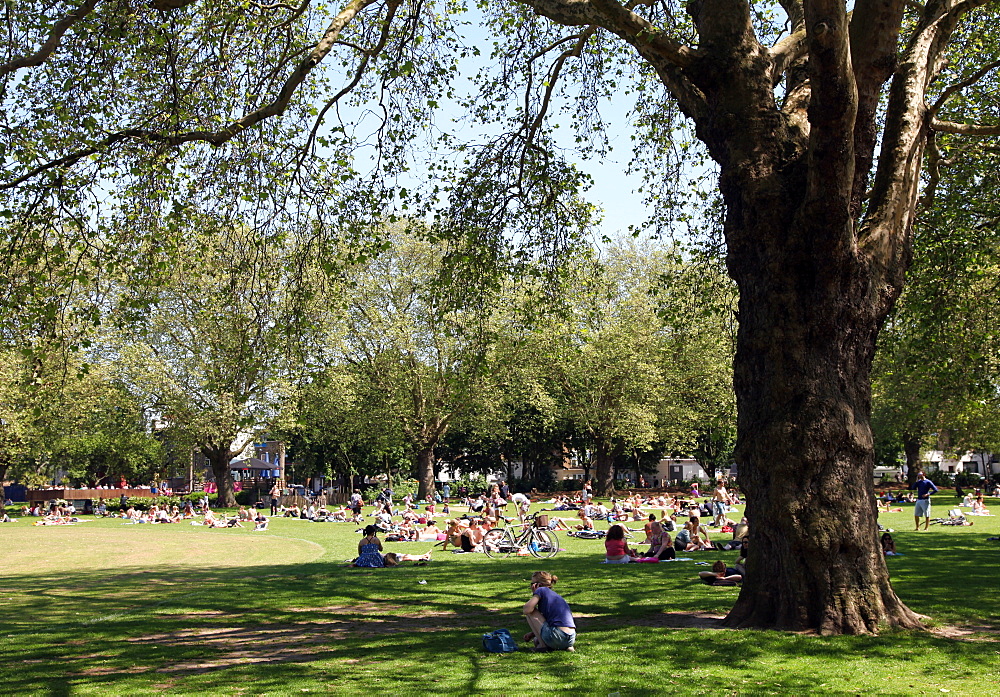 Crowds sunbathing in London Fields, Hackney, East London, England, United Kingdom, Europe