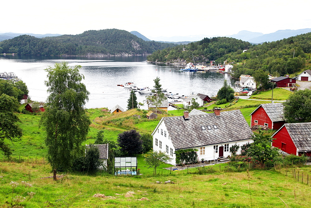 Harbour and farmhouses on Island of Borgundoya, Hardangerfjord, Norway, Scandinavia, Europe 