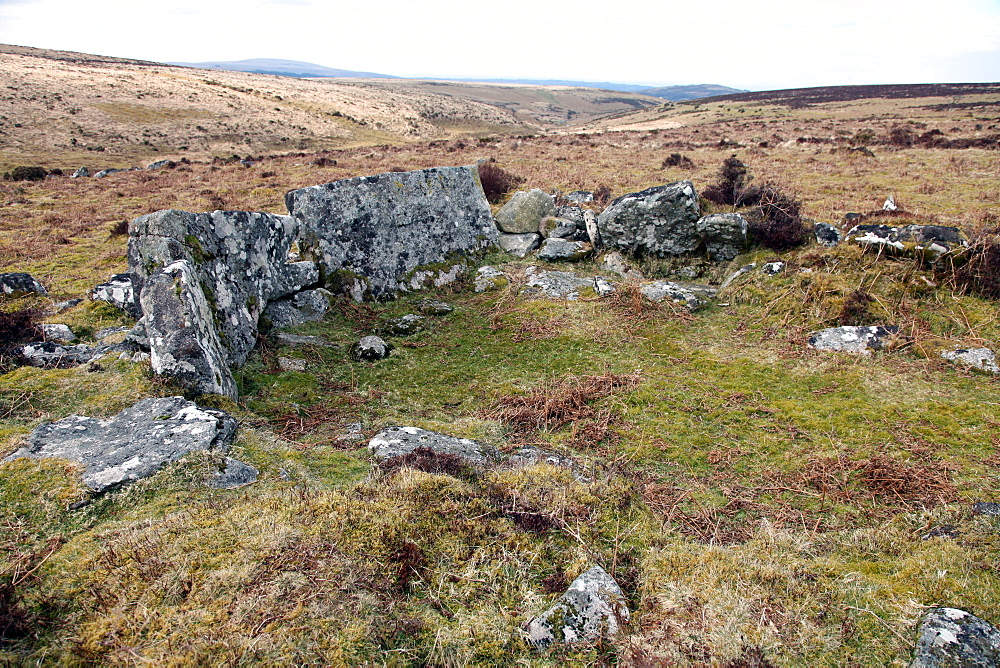 Ruined prehistoric farmhouse, near Headland Warren, Dartmoor National Park, Devon, England, United Kingdom, Europe