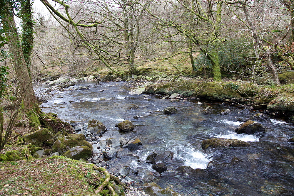 Winter on the River Tavy on the western slopes of the Dartmoor National Park, Devon, England, United Kingdom, Europe