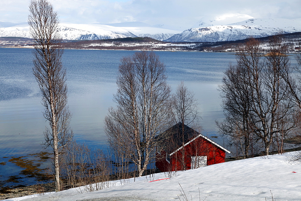 Boathouse on the shores of a fjord near Eidkjosen, Kvaloya (Whale Island), Troms, arctic Norway, Scandinavia, Europe