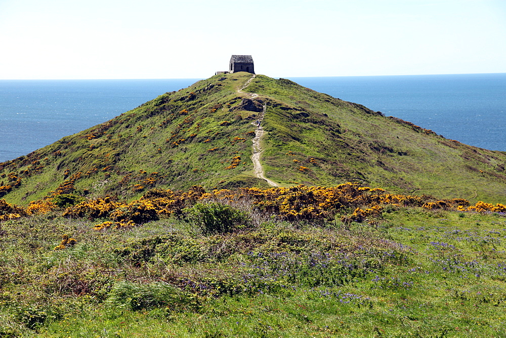 Rame Head chapel, Rame, Cornwall, England, United Kingdom, Europe