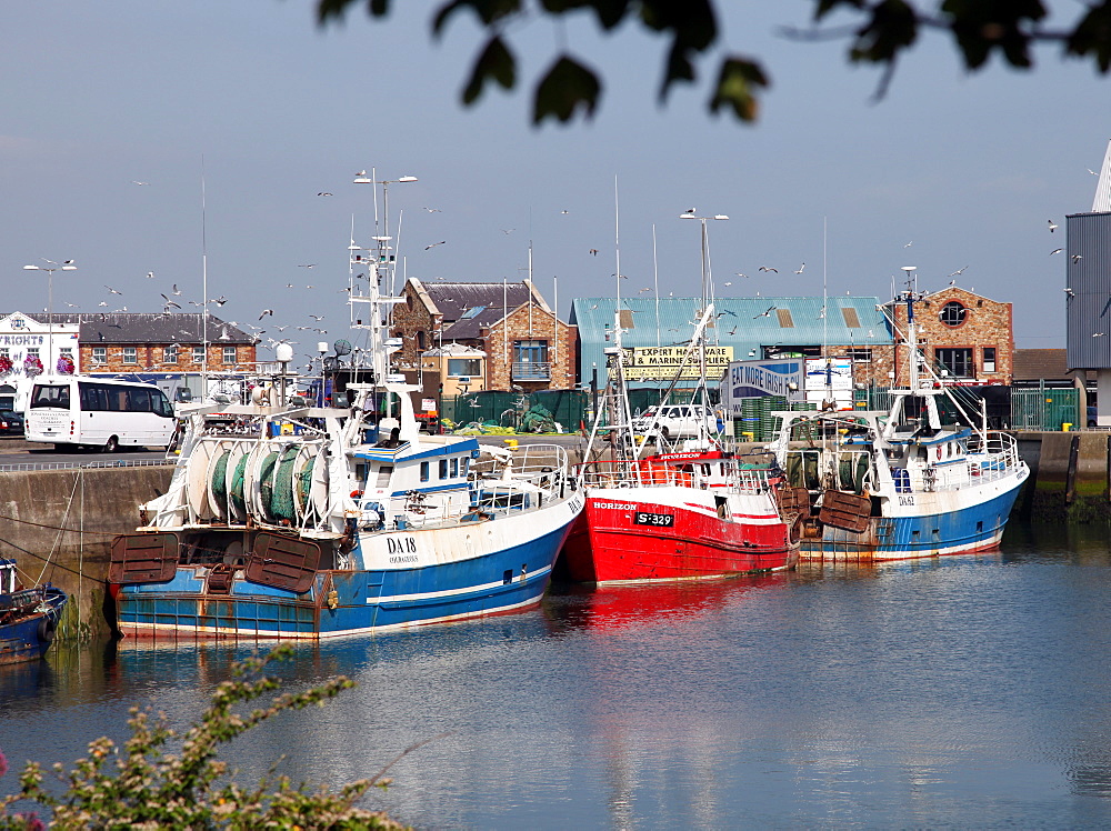 Trawlers, Howth harbour near Dublin, Republic of Ireland, Europe