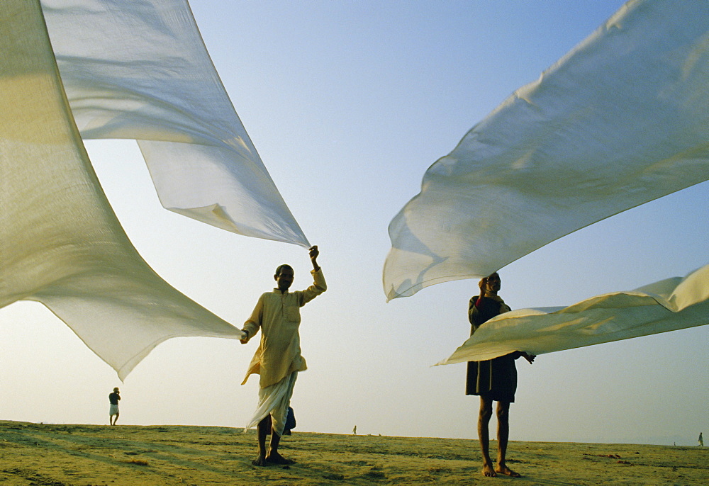 Dhotis, the national male dress, drying in the dawn breeze, India, Asia