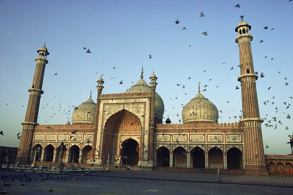 Jami Masjid, Old Delhi, Delhi, India, Asia