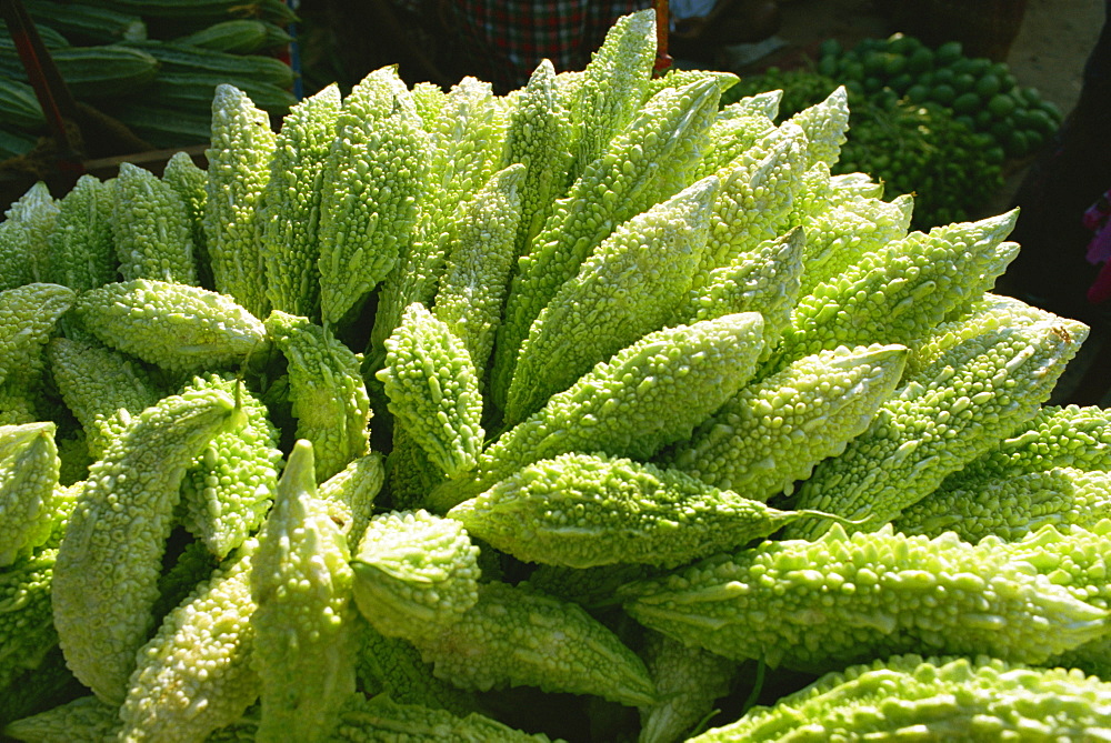 Bitter gourds, southern India, Asia