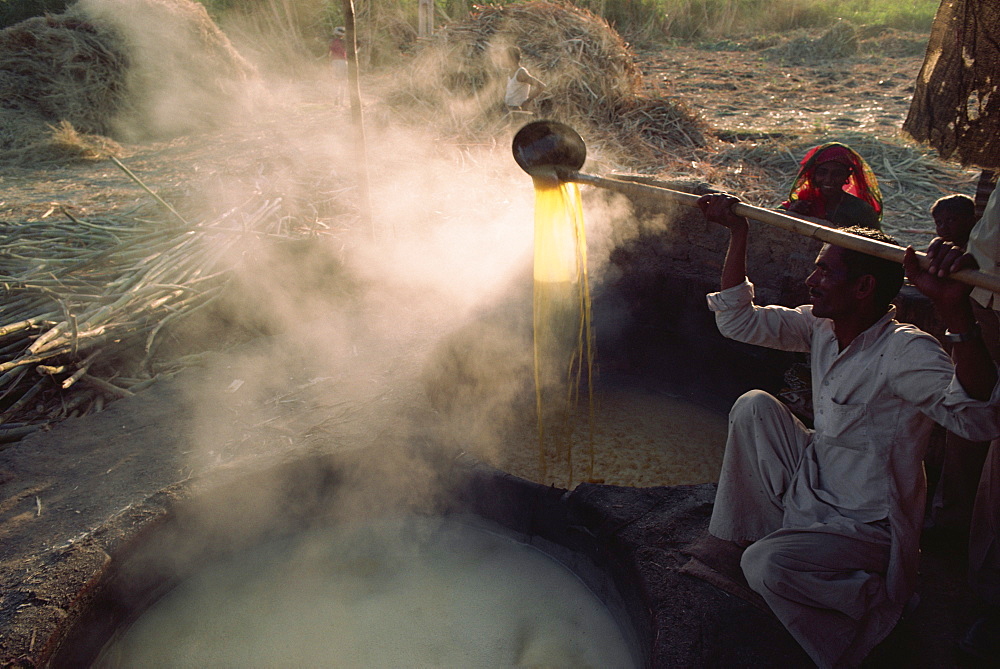 Crushed cane juice is boiled and set into cakes of raw sugar, after sugar cane harvest, Gujarat state, India, Asia