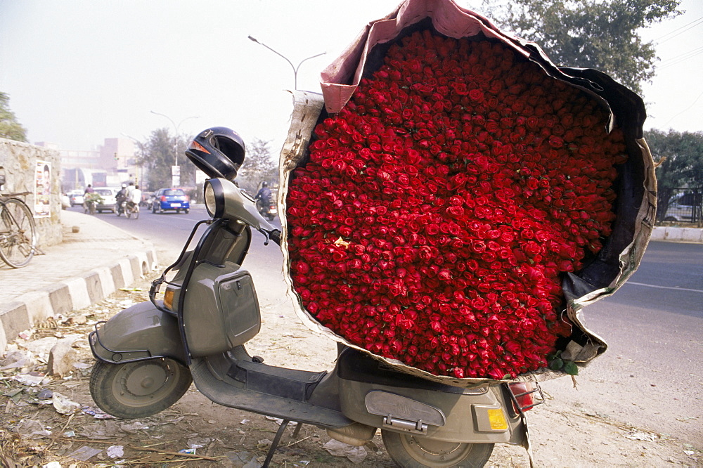 Flower market, Lado Sarai, Delhi, India, Asia