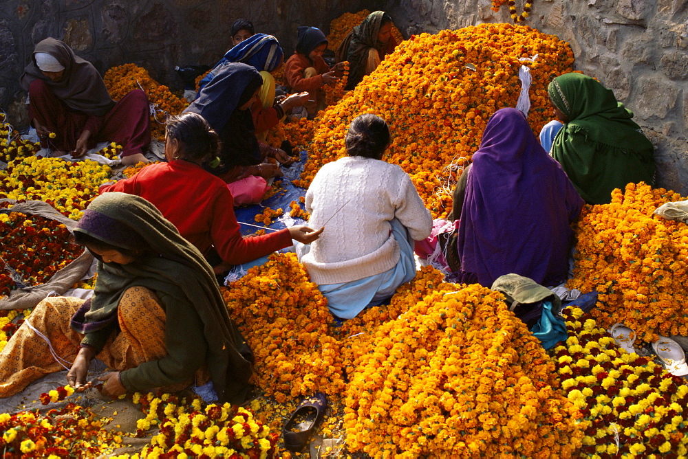 Flower market, Lado Sarai, Delhi, India, Asia