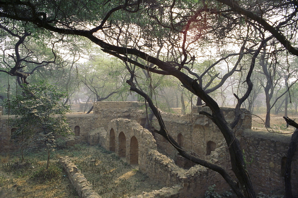 The Mehrauli Archaeological Park, Lado Sarai, Delhi, India, Asia