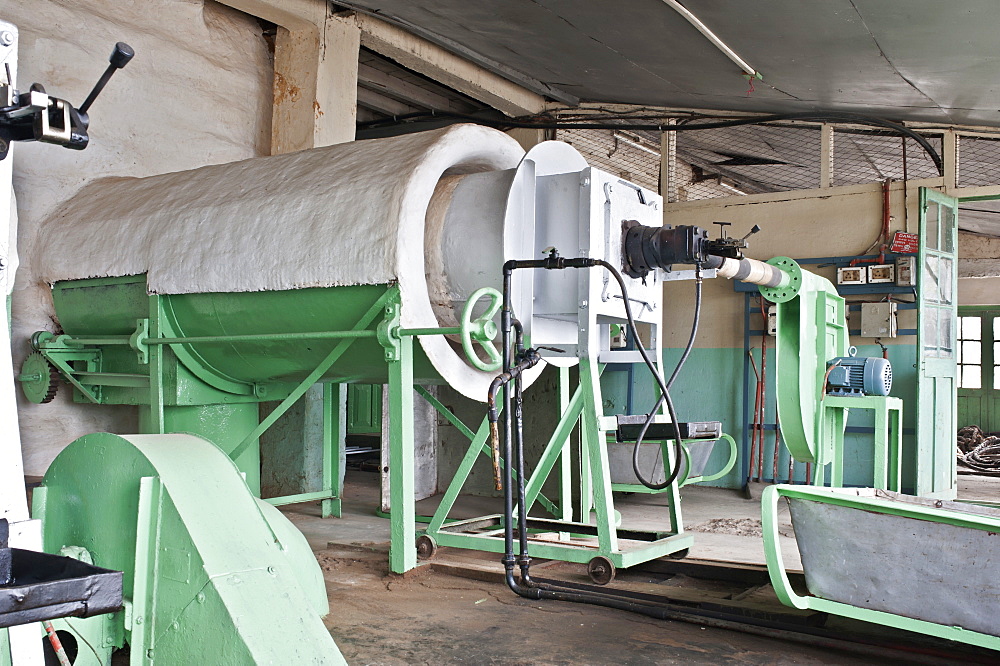 Glenburn Tea Factory, near Darjeeling, West Bengal, India, Asia