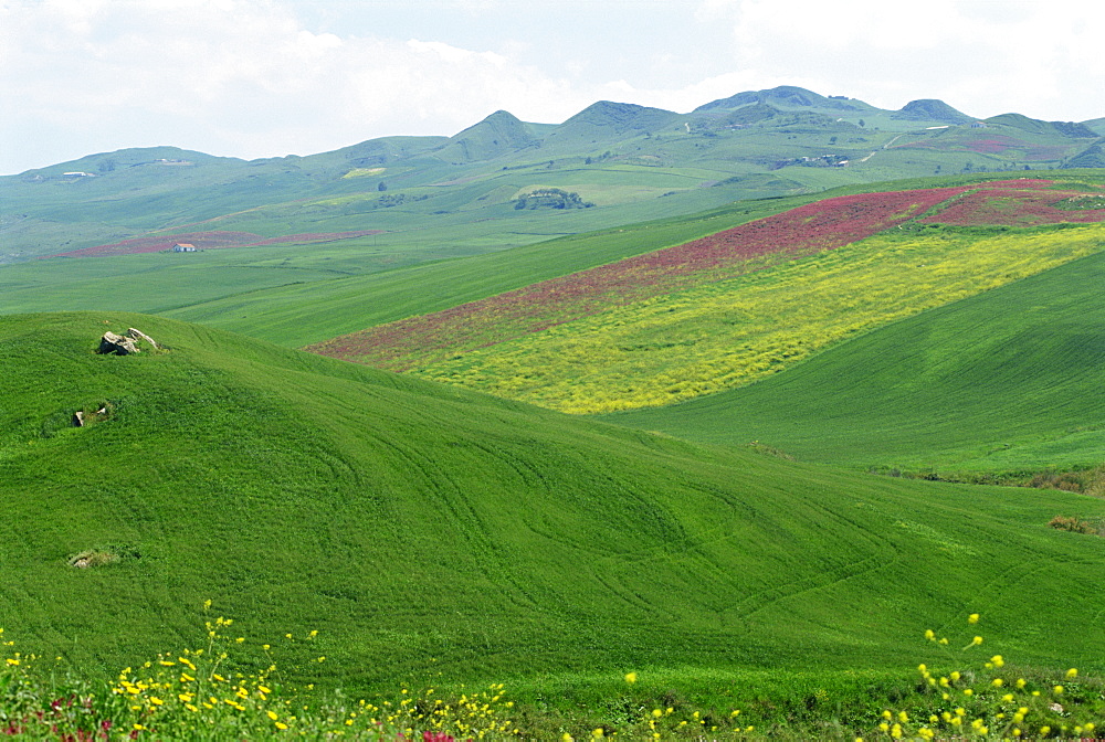 Fields and rolling hills in a typical landscape near Misilmeri in central western Sicily, Italy, Europe