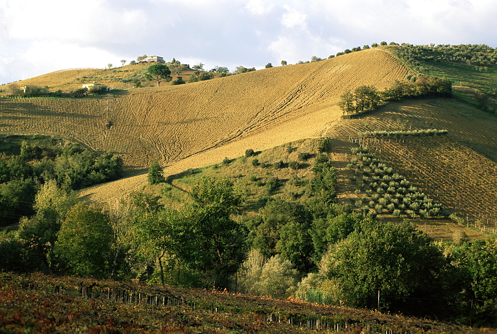 Landscape near Chieti, Abruzzo, Italy, Europe