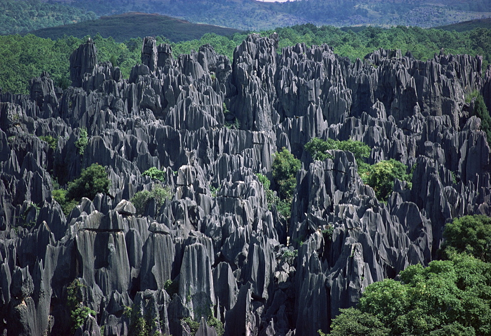 Limestone Stone Forest, near Kunming, Yunnan province, China, Asia