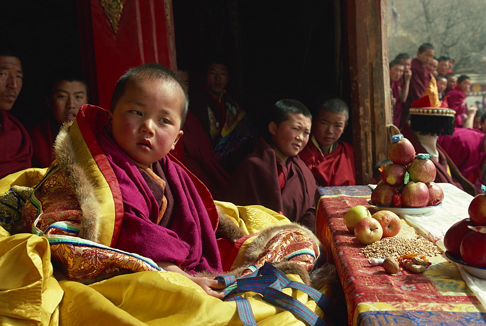 A living Buddha at the Tibetan Uppasilutan Monastery, northeast Qinghai, China, Asia