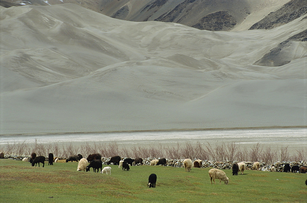 Scenery by the Karakoram Highway, Xinjiang, China, Asia