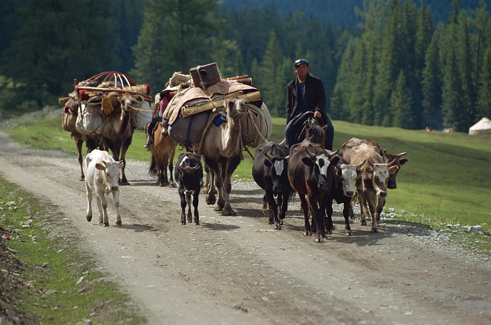 Summer migration of Kazaks, Altay Mountains, northeast Xinjiang, China, Asia