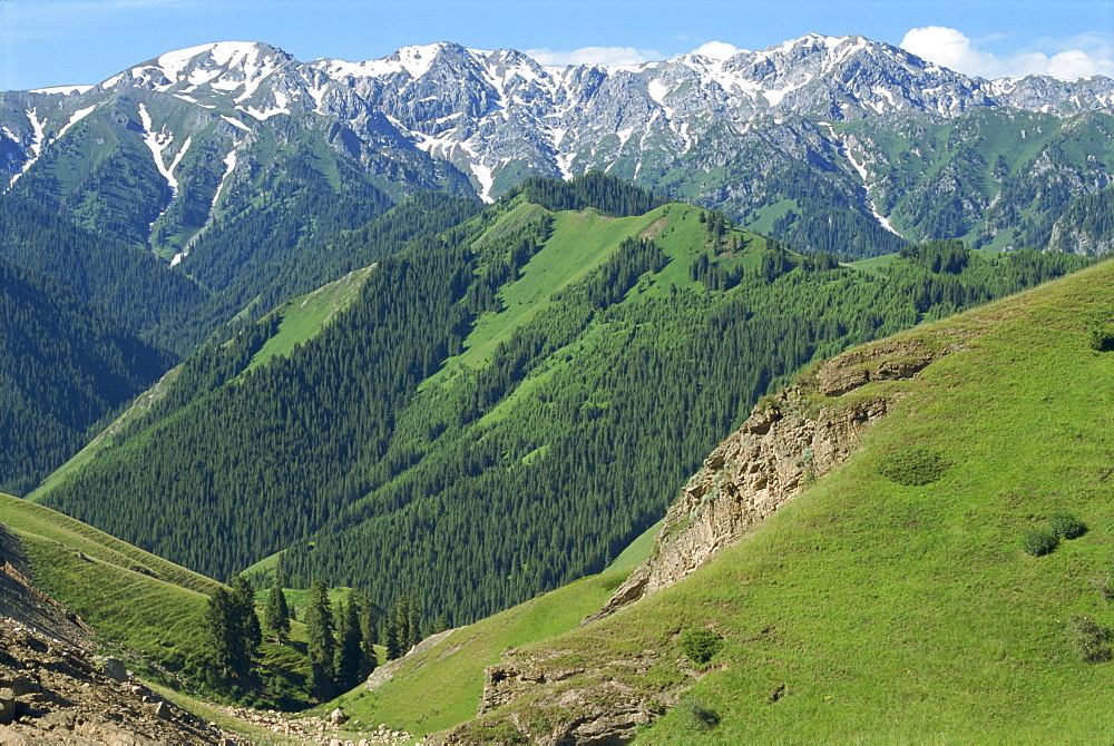 Forested hills and snow capped mountains at Tianshan near Sayram Lake in Xinjiang, China, Asia