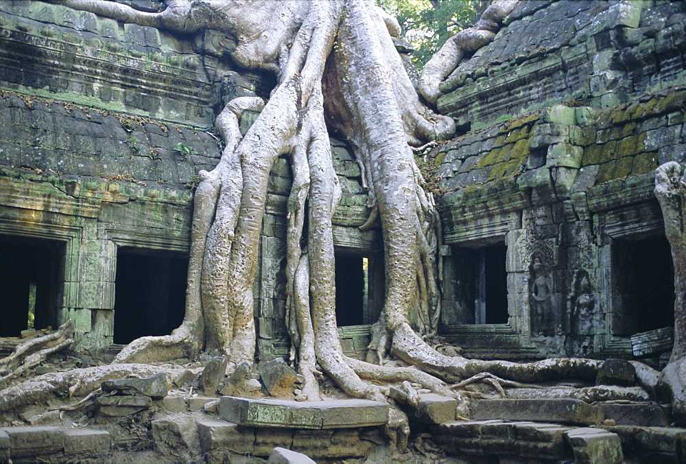 Ta Prohn, Angkor, Siem Reap, Cambodia, Indochina, Asia