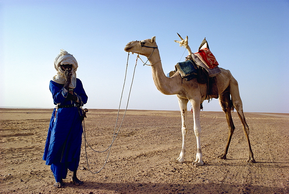 Tuareg tribesman and camel, Niger, Africa