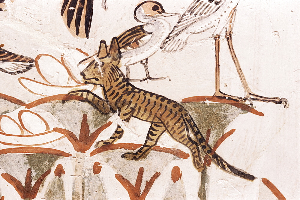 Cat climbing papyrus stem in duck hunting scene, Tomb of Menna, 18th dynasty, Sheikh Abd el-Kurna, Valley of the Nobles, Thebes, UNESCO World Heritage Site, Egypt, North Africa, Africa