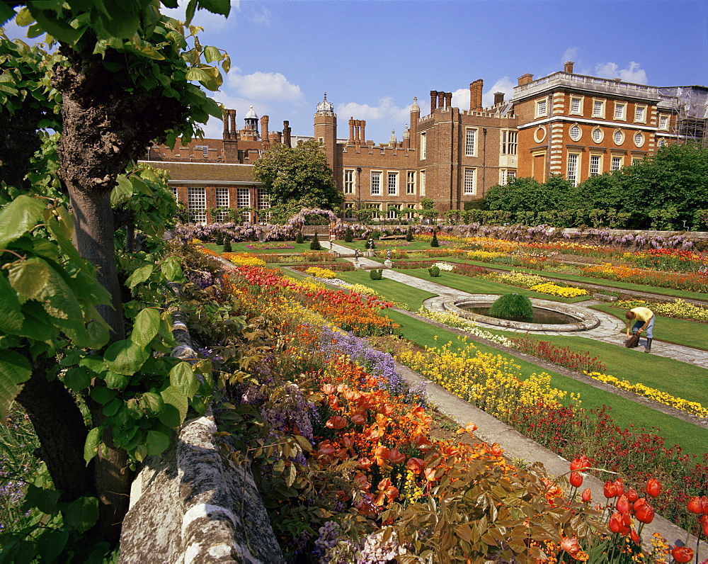 Sunken gardens, Hampton Court Palace, Greater London, England, United Kingdom, Europe