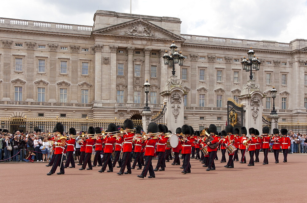 Band of the Scots Guards lead the procession from Buckingham Palace, Changing the Guard, London, England, United Kingdom, Europe