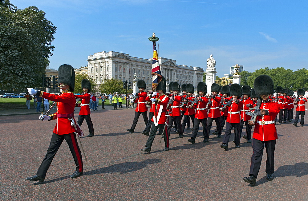 Grenadier Guards march to Wellington Barracks after Changing the Guard ceremony, London, England, United Kingdom, Europe