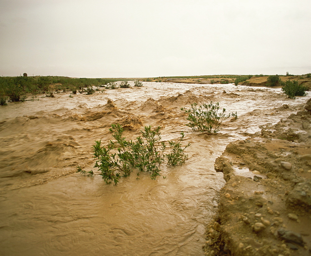 Flash flood in oued (river bed) in normally dry Algerian Sahara region, Algeria, North Africa, Africa