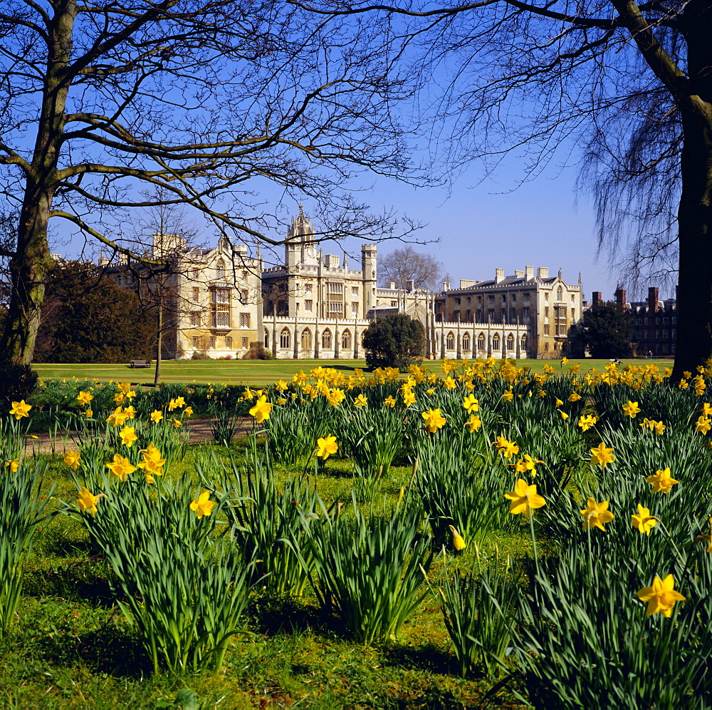 St John's College, Cambridge, Cambridgeshire, England, UK