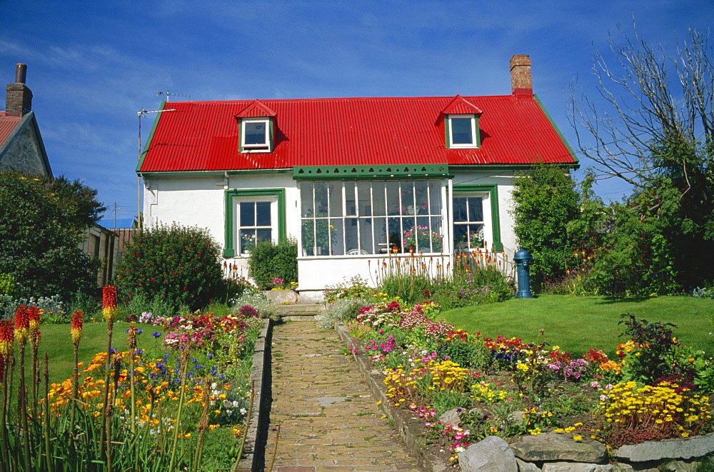 Flower beds line a brick path up to a typical private house, with bright red corrugated roof, in Stanley, capital of the Falkland Islands, South America