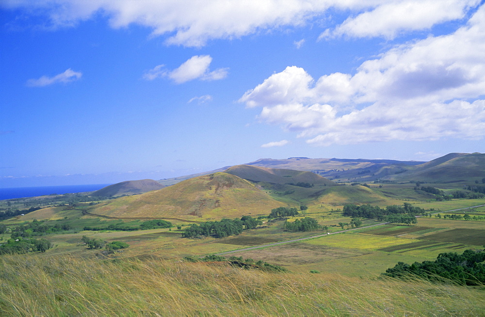 Landscape of interior, Easter Island, Chile, Pacific