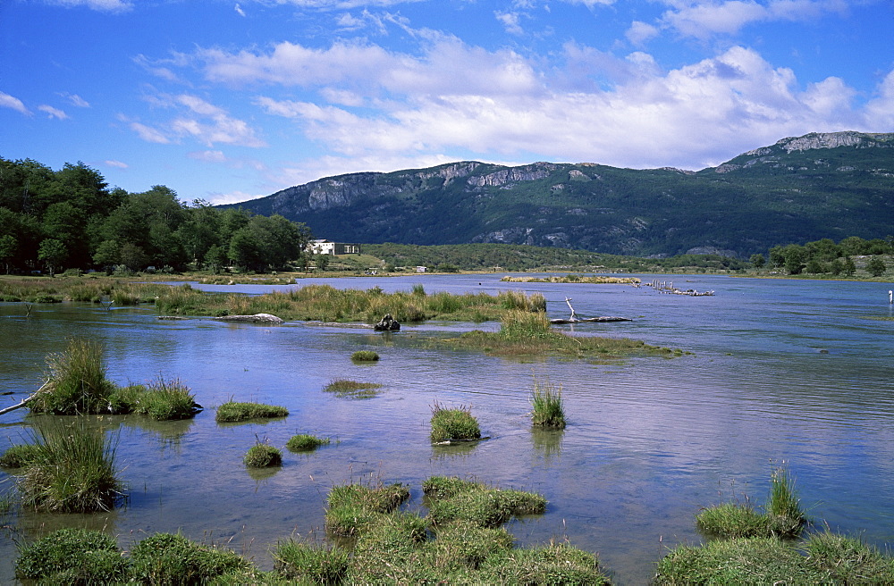 Tierra del Fuego National Park, close to Ushuaia and Lapataia, Argentina, South America