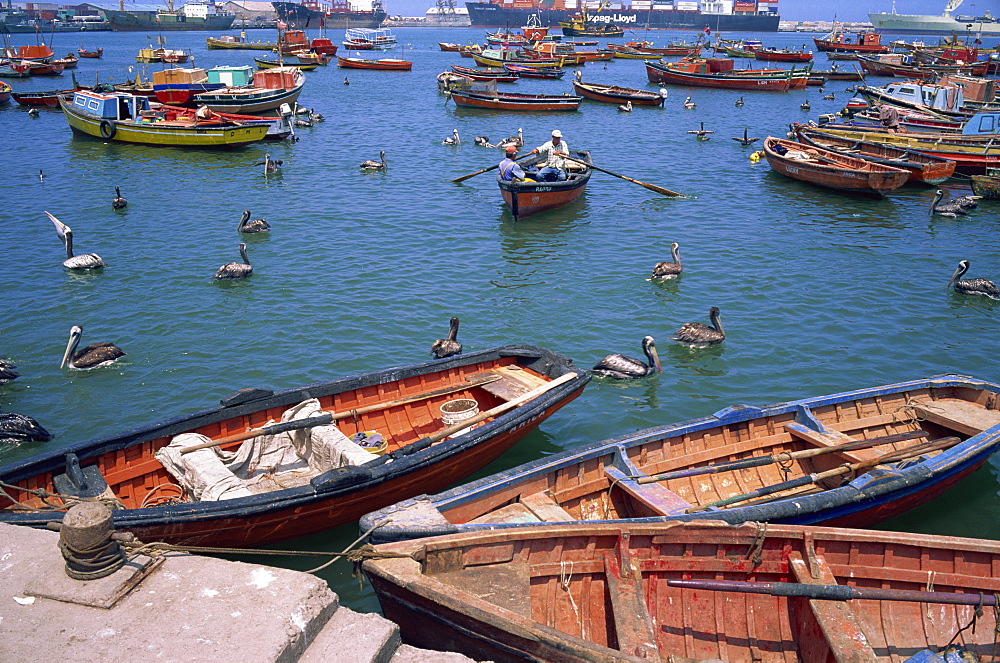 Fishing terminal, Arica, Chile, South America