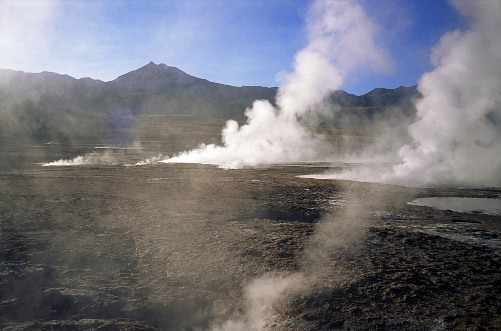 El Tatio Geysers and fumaroles, Andes at 4300m, northern area, Chile, South America