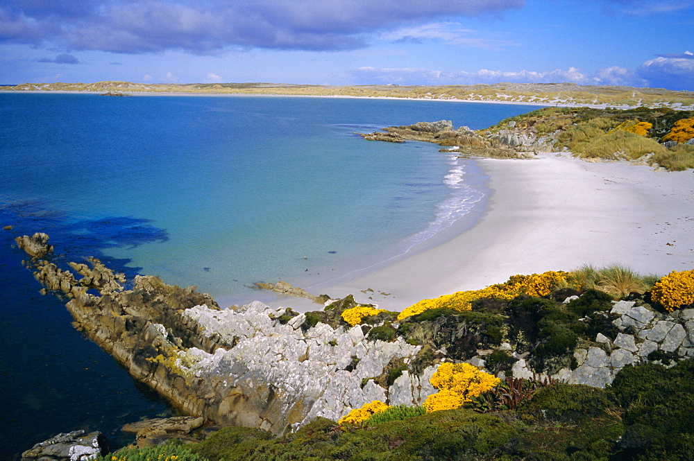 Bay on the coast near Stanley, Falkland Islands