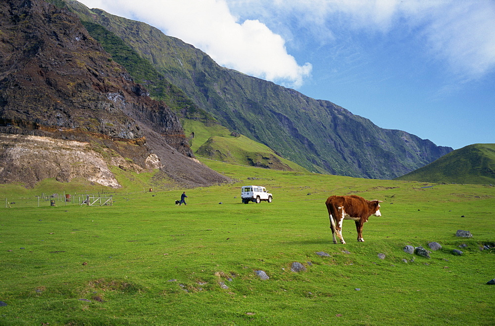 Pastures near settlement of Edinburgh, Tristan da Cunha, mid-Atlantic