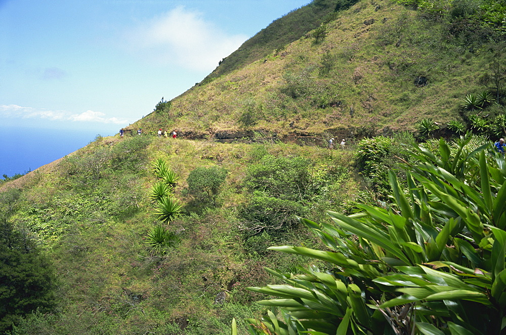 Walkers on Green Mountain, Ascension Island, Mid Atlantic