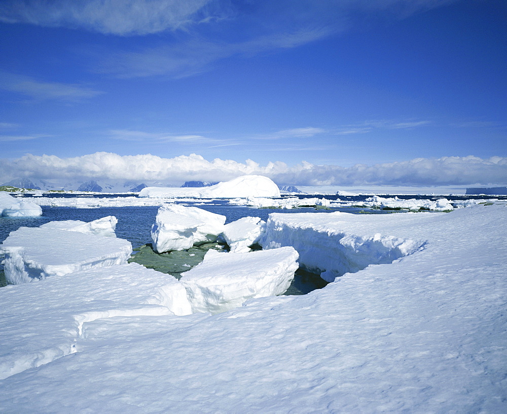 Coastal landscape, Antarctic Peninsula, Antarctica, Polar Regions