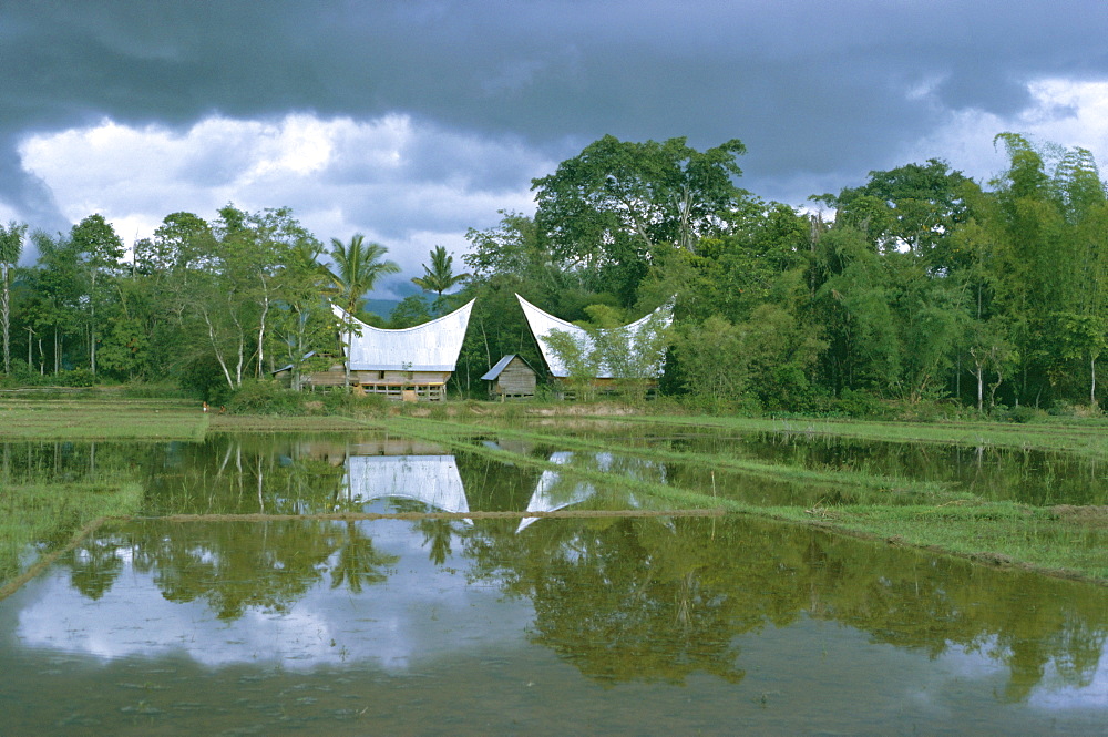 Batak houses, Lake Toba, North Sumatra, Sumatra, Indonesia, Southeast Asia, Asia