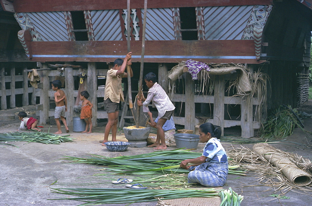 Village scene, Toba Bataks, North Sumatra, Sumatra, Indonesia, Southeast Asia, Asia