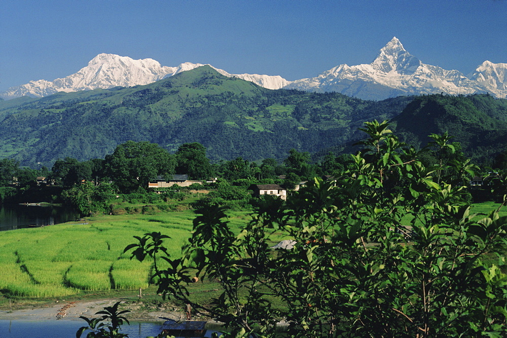 Mount Machapuchare (Machhapuchhare), Himalayas, Nepal, Asia