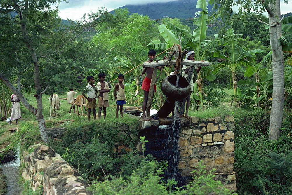 Water well, Tamil Nadu state, India, Asia