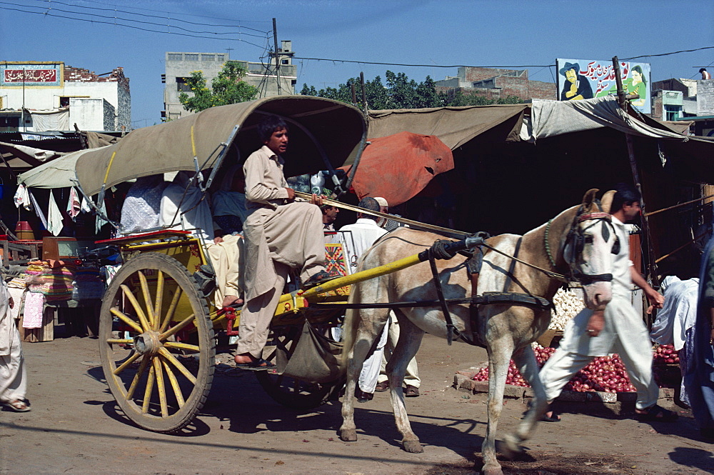 Tonga in Lahore, Pakistan, Asia