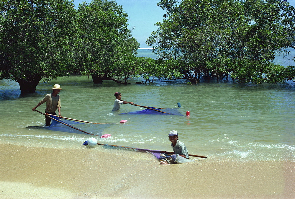 Shrimping, Lombok, Indonesia, Southeast Asia, Asia