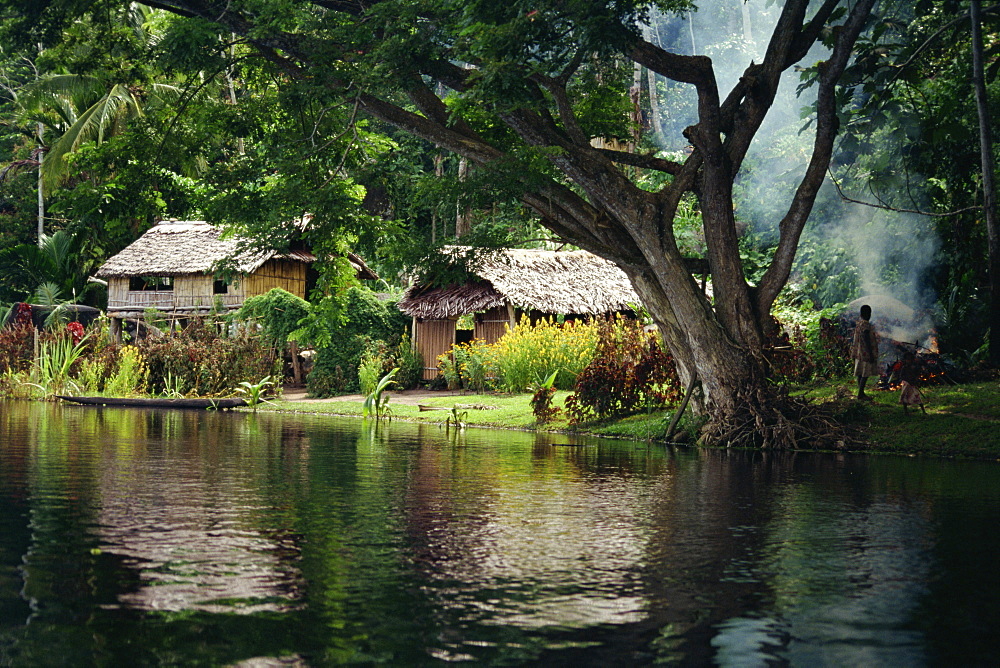 Settlement of huts beside the Sepik River, Papua New Guinea, Pacific Islands, Pacific