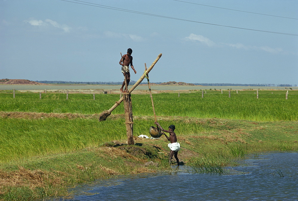 Water collection, Mahabalipuram, near Madras, Tamil Nadu state, India, Asia