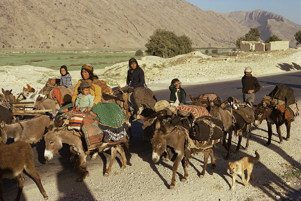 Migration of the Qashgai tribe, Iran, Middle East