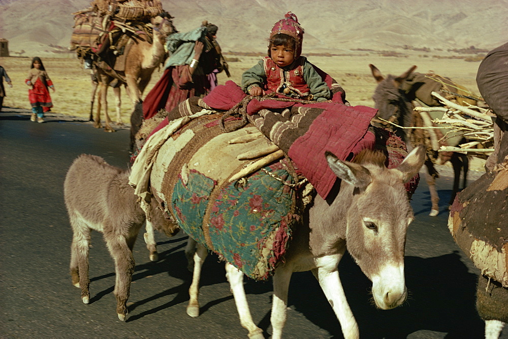 Kuchi nomads, Afghanistan, Asia